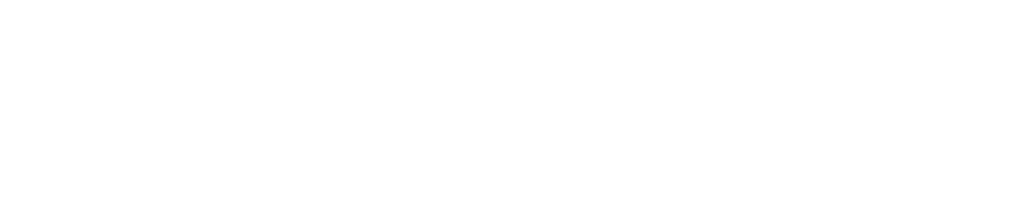 Business Times logo, white