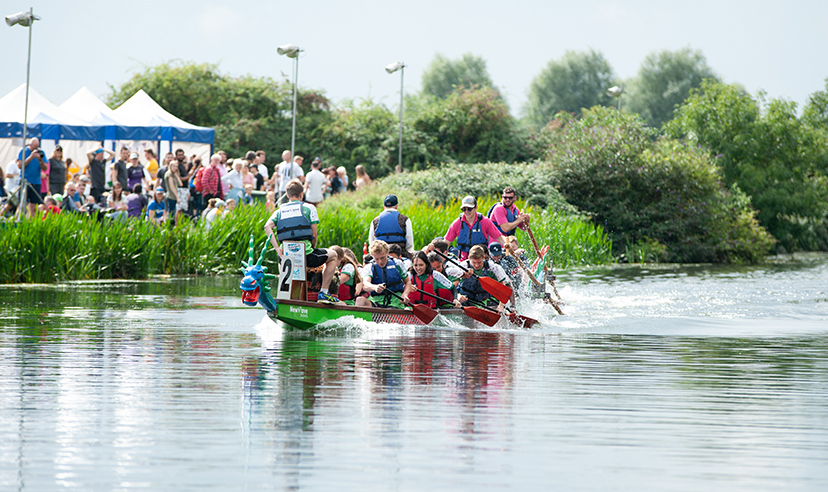 Crews, get ready for the inaugural Northampton Dragon Boat Festival